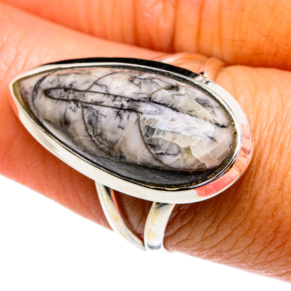 Orthoceras Fossil Rings handcrafted by Ana Silver Co - RING79228