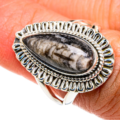Orthoceras Fossil Rings handcrafted by Ana Silver Co - RING79278