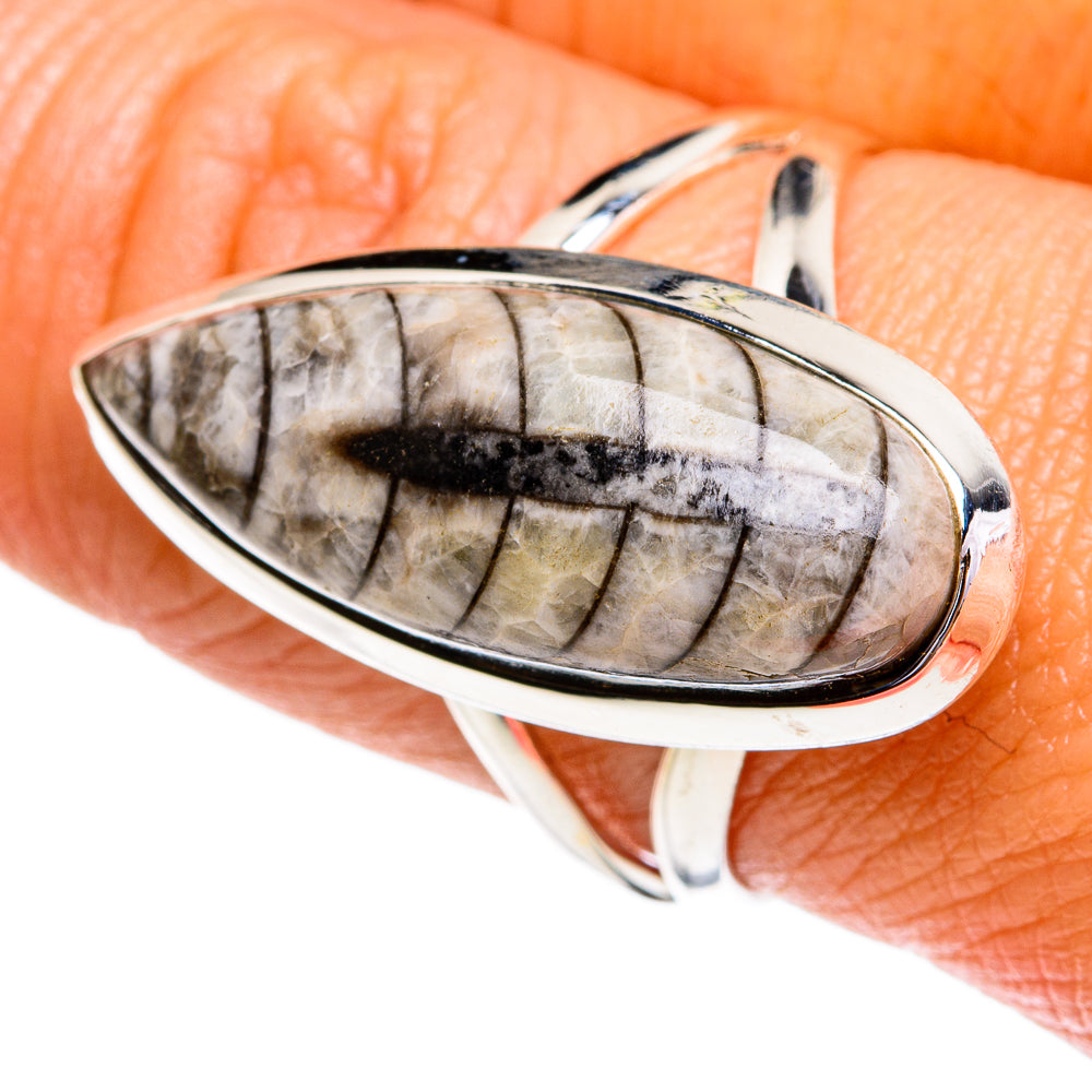 Orthoceras Fossil Rings handcrafted by Ana Silver Co - RING79307