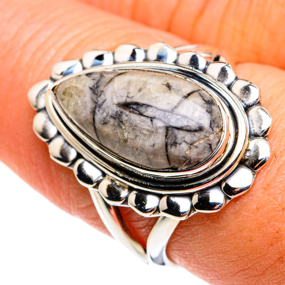 Orthoceras Fossil Rings handcrafted by Ana Silver Co - RING79441