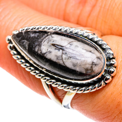 Orthoceras Fossil Rings handcrafted by Ana Silver Co - RING79630