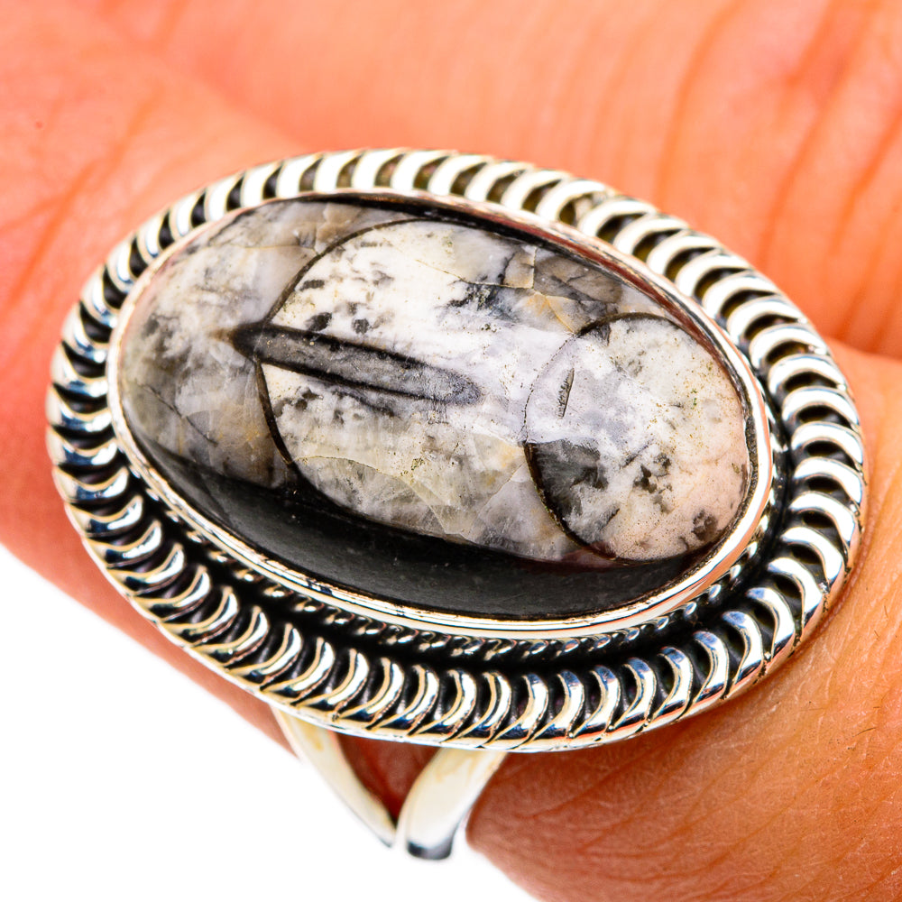Orthoceras Fossil Rings handcrafted by Ana Silver Co - RING79872