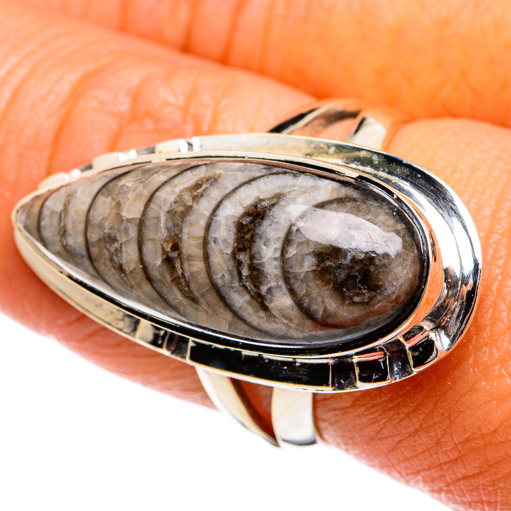 Sterling silver fossil ring with oval cabochon, dark spiral pattern, polished bezel
