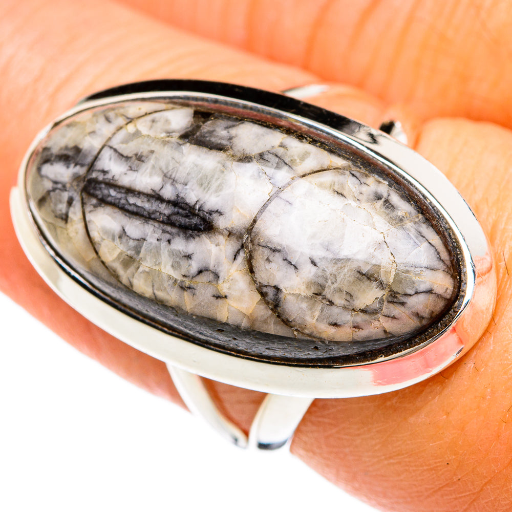 Orthoceras Fossil Rings handcrafted by Ana Silver Co - RING80358