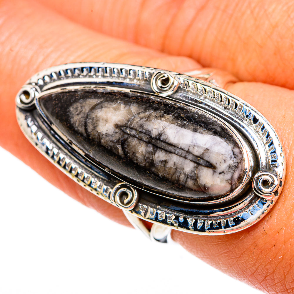 Orthoceras Fossil Rings handcrafted by Ana Silver Co - RING81395