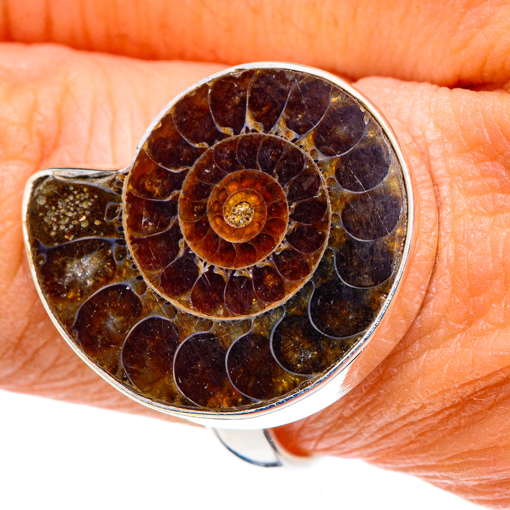 Ammonite Fossil Rings handcrafted by Ana Silver Co - RING88451