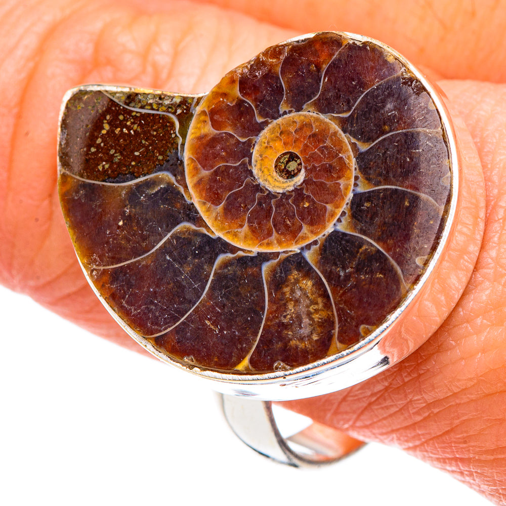 Ammonite Fossil Rings handcrafted by Ana Silver Co - RING88735