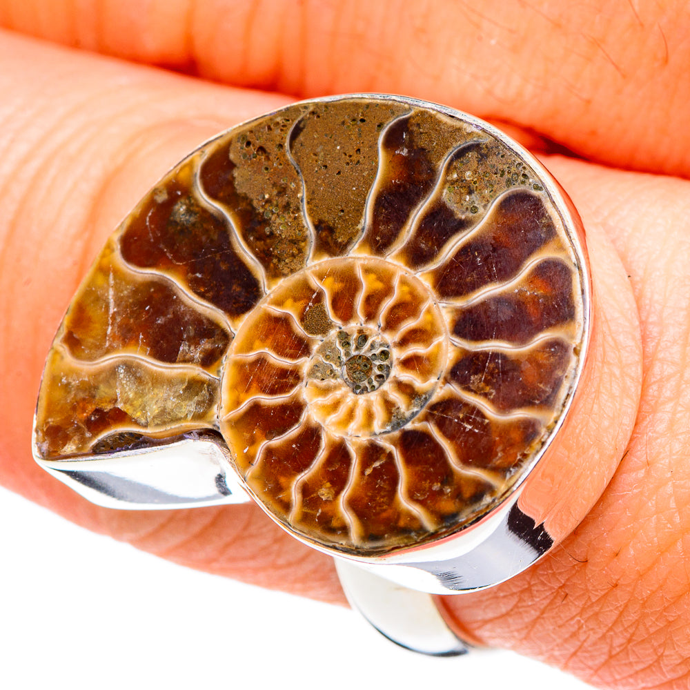 Ammonite Fossil Rings handcrafted by Ana Silver Co - RING88767