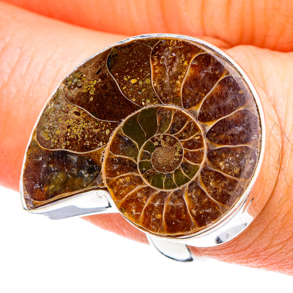 Ammonite Fossil Rings handcrafted by Ana Silver Co - RING88798