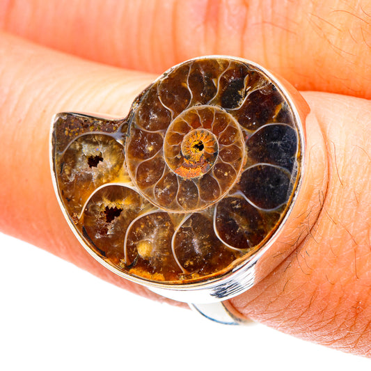 Ammonite Fossil Rings handcrafted by Ana Silver Co - RING89047