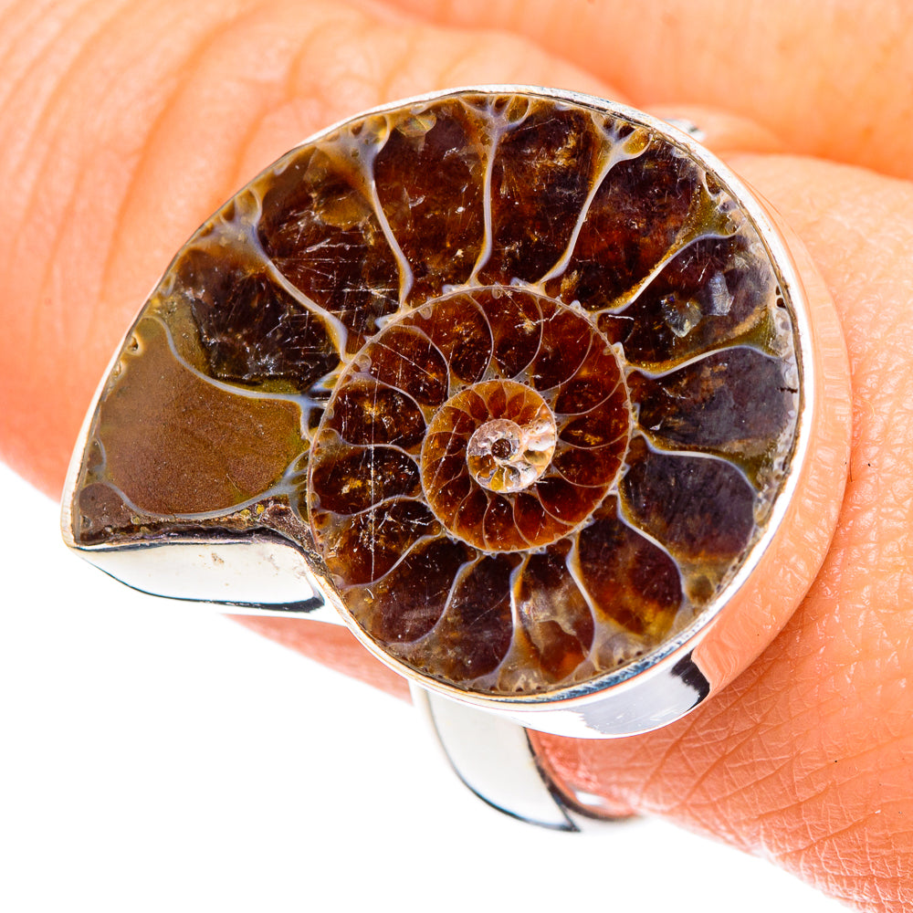 Ammonite Fossil Rings handcrafted by Ana Silver Co - RING89115