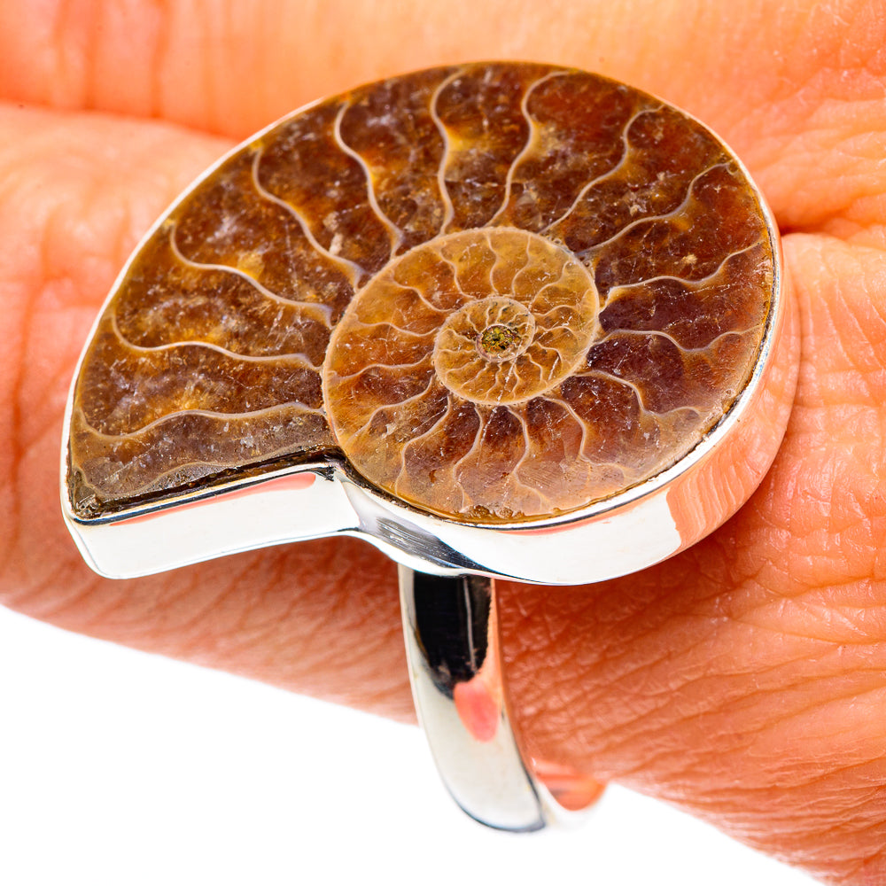 Ammonite Fossil Rings handcrafted by Ana Silver Co - RING89337