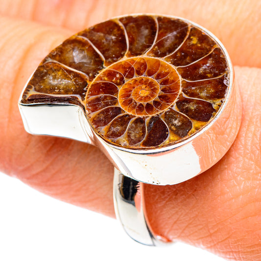 Ammonite Fossil Rings handcrafted by Ana Silver Co - RING89363