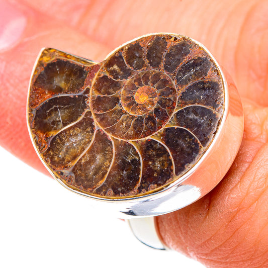 Ammonite Fossil Rings handcrafted by Ana Silver Co - RING89618