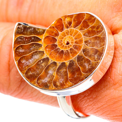 Ammonite Fossil Rings handcrafted by Ana Silver Co - RING89653
