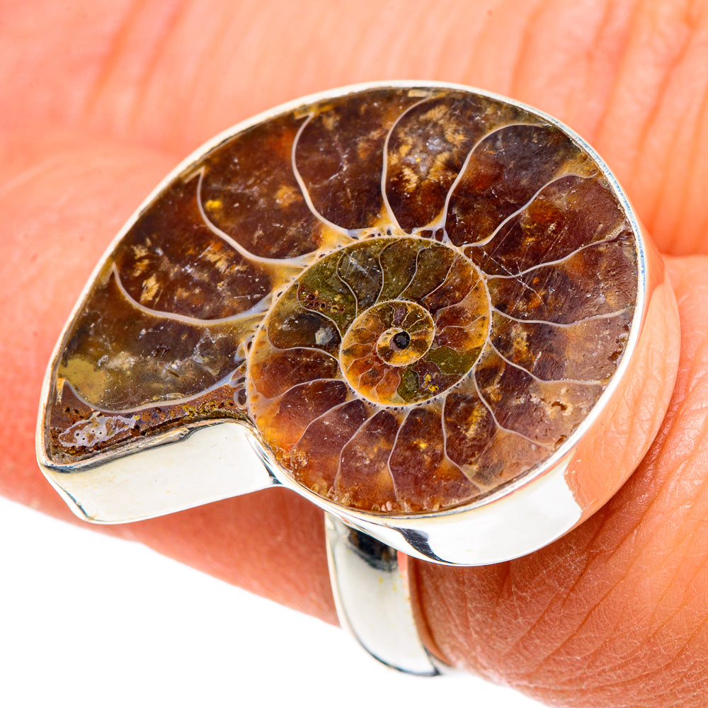 Ammonite Fossil Rings handcrafted by Ana Silver Co - RING89884