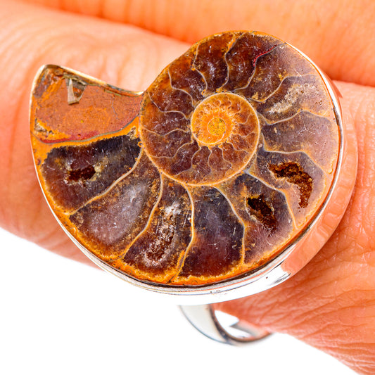 Ammonite Fossil Rings handcrafted by Ana Silver Co - RING89924