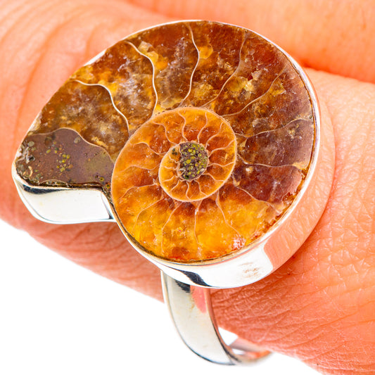 Ammonite Fossil Rings handcrafted by Ana Silver Co - RING89963