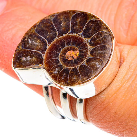 Ammonite Fossil Rings handcrafted by Ana Silver Co - RING89967