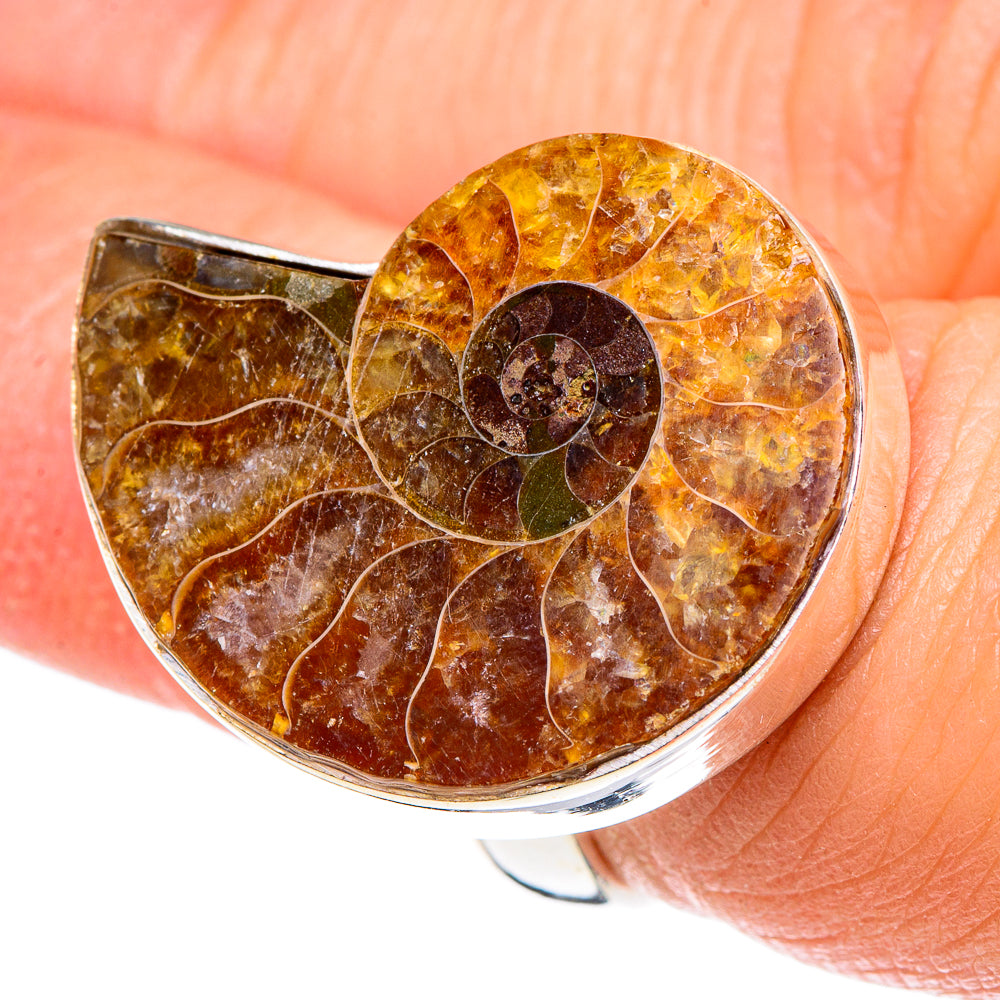 Ammonite Fossil Rings handcrafted by Ana Silver Co - RING90249