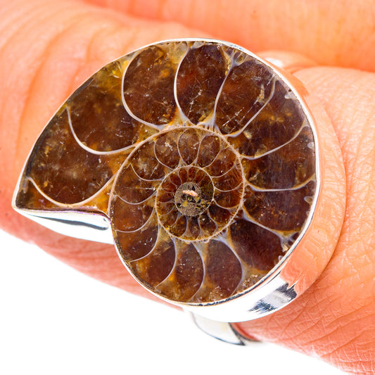 Ammonite Fossil Rings handcrafted by Ana Silver Co - RING90555