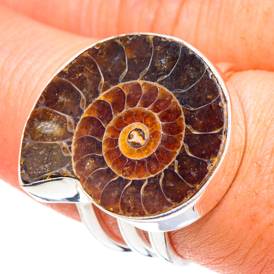 Ammonite Fossil Rings handcrafted by Ana Silver Co - RING90558