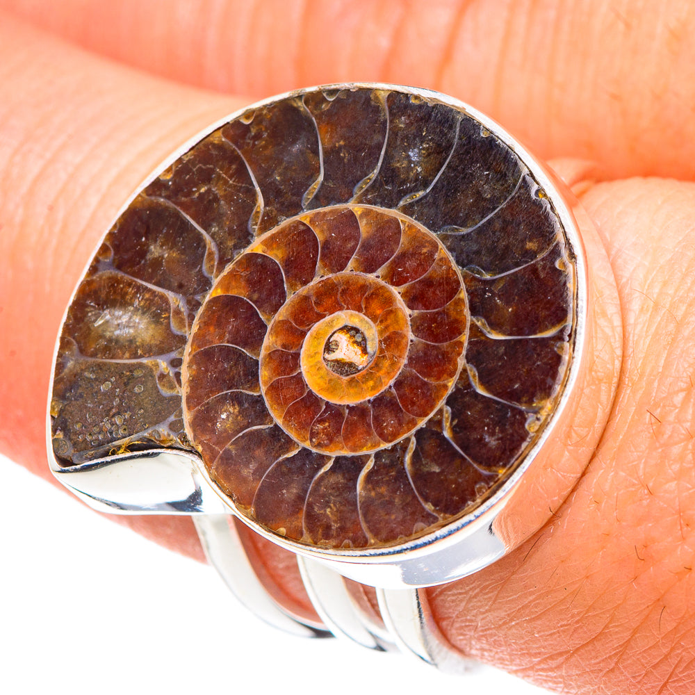 Ammonite Fossil Rings handcrafted by Ana Silver Co - RING90558