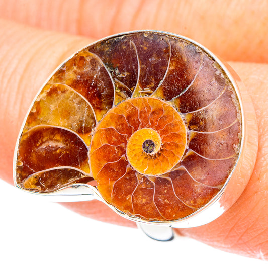 Ammonite Fossil Rings handcrafted by Ana Silver Co - RING90866