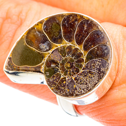 Ammonite Fossil Rings handcrafted by Ana Silver Co - RING90926