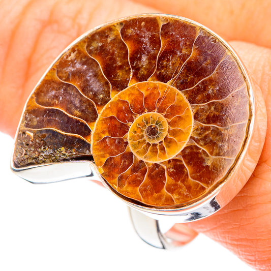 Ammonite Fossil Rings handcrafted by Ana Silver Co - RING90929