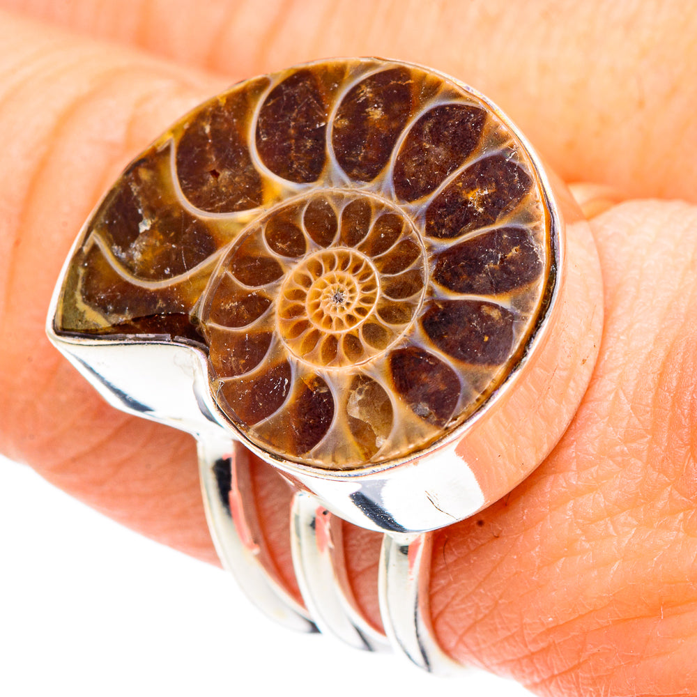 Ammonite Fossil Rings handcrafted by Ana Silver Co - RING91172