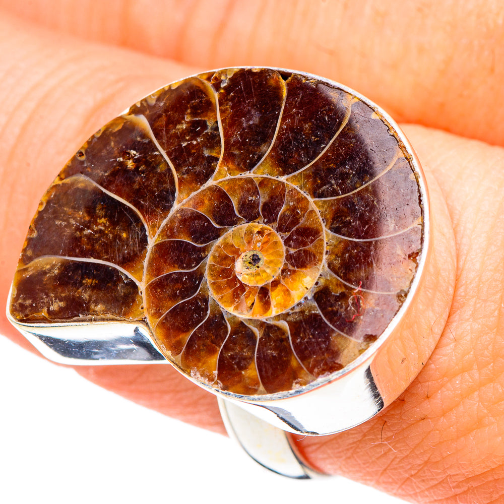 Ammonite Fossil Rings handcrafted by Ana Silver Co - RING91222