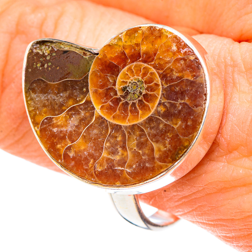 Ammonite Fossil Rings handcrafted by Ana Silver Co - RING91266