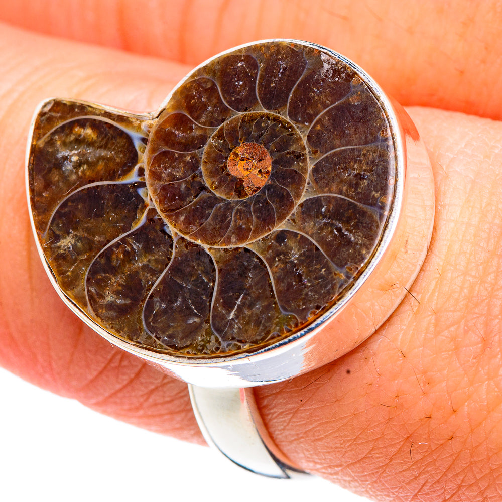 Ammonite Fossil Rings handcrafted by Ana Silver Co - RING91304