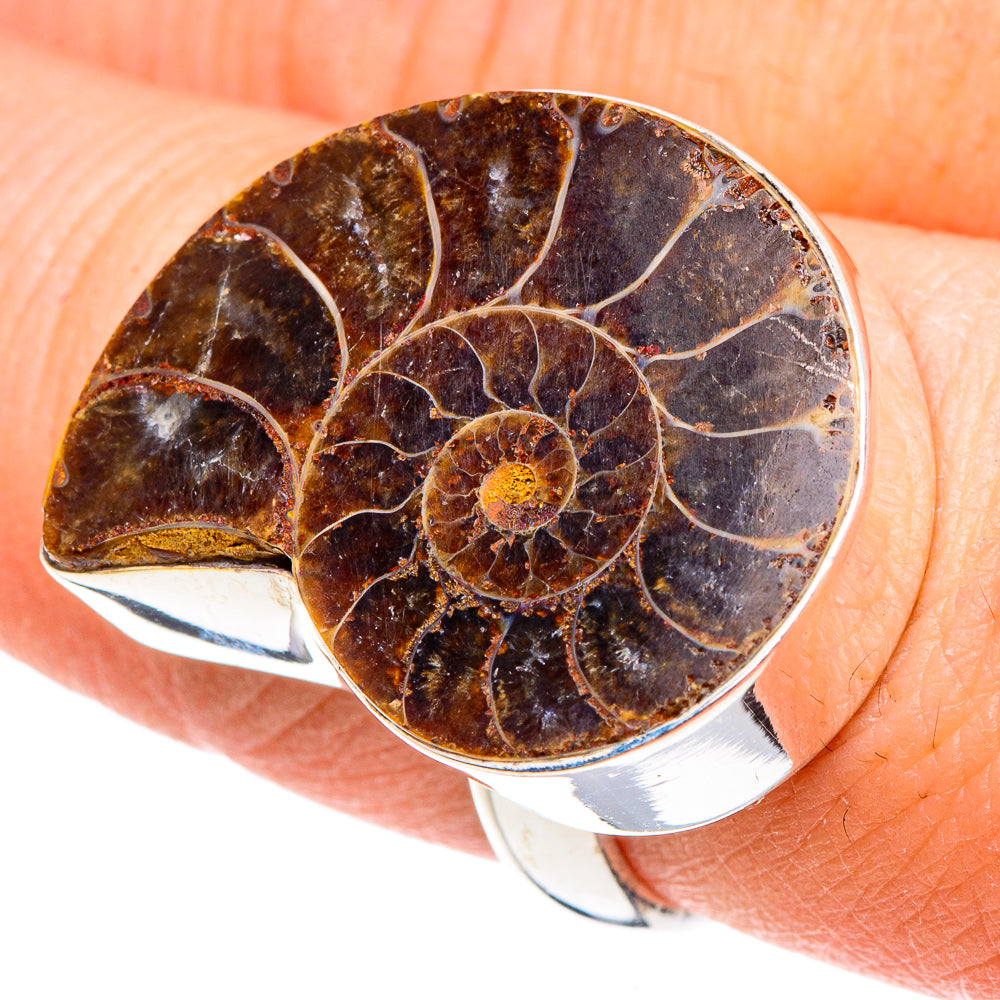 Ammonite Fossil Rings handcrafted by Ana Silver Co - RING91587