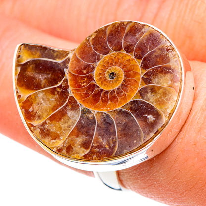 Ammonite Fossil Rings handcrafted by Ana Silver Co - RING91593