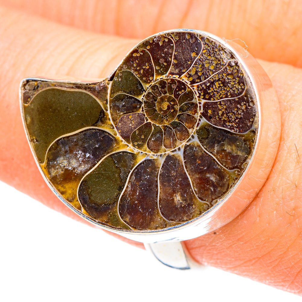 Ammonite Fossil Rings handcrafted by Ana Silver Co - RING91660