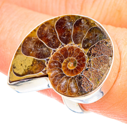 Ammonite Fossil Rings handcrafted by Ana Silver Co - RING91665