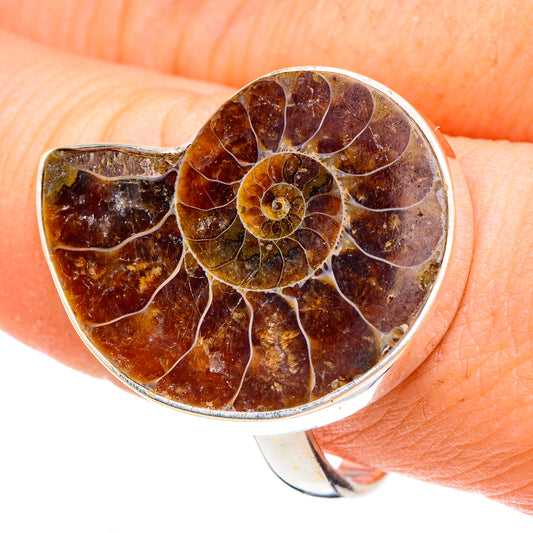 Ammonite Fossil Rings handcrafted by Ana Silver Co - RING91697