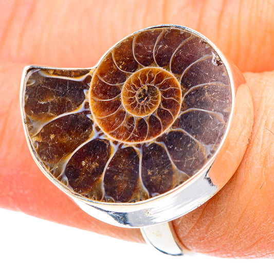 Ammonite Fossil Rings handcrafted by Ana Silver Co - RING91772