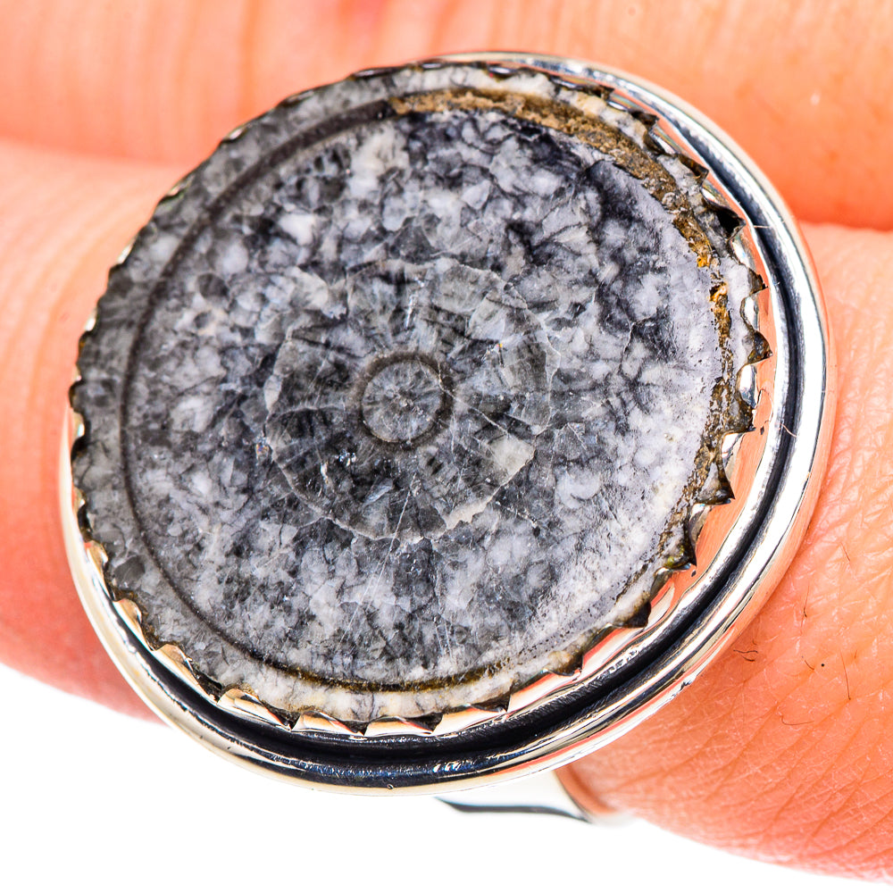 Moroccan Goniatite Fossil Rings handcrafted by Ana Silver Co - RING93166