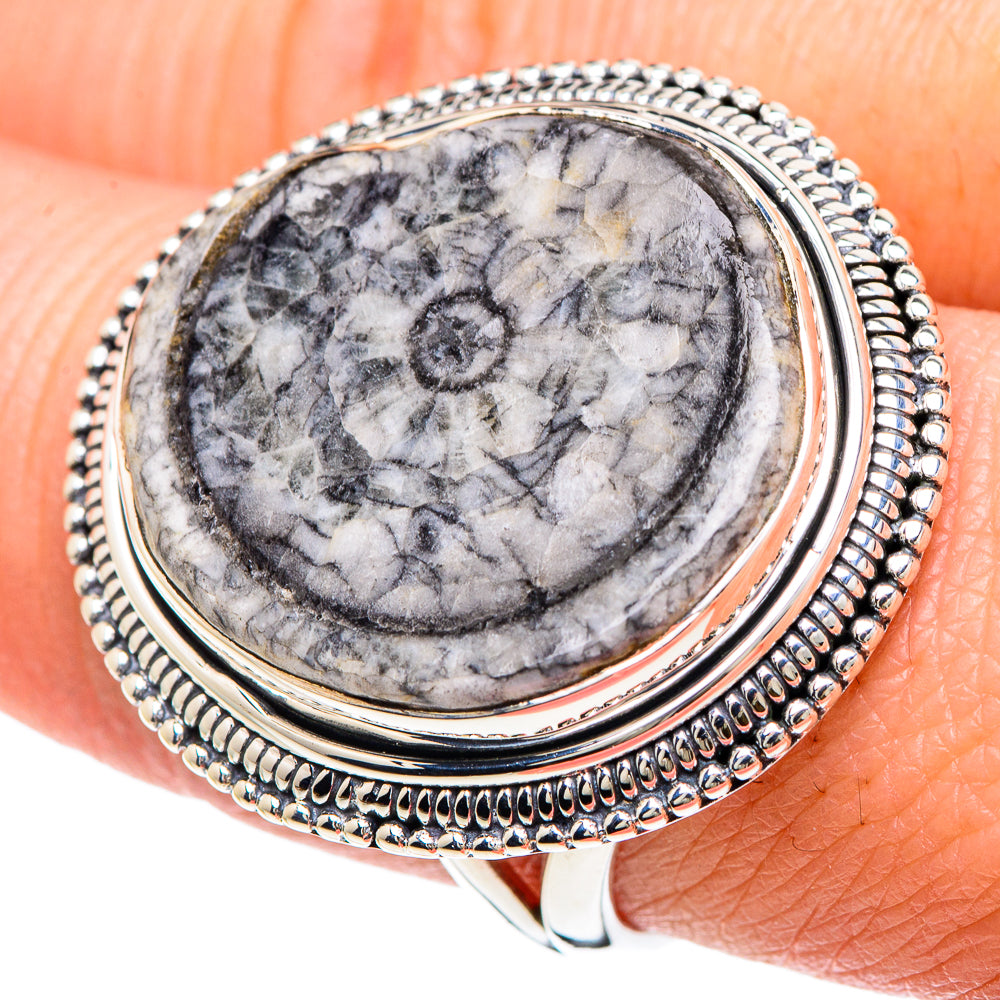 Moroccan Goniatite Fossil Rings handcrafted by Ana Silver Co - RING93283