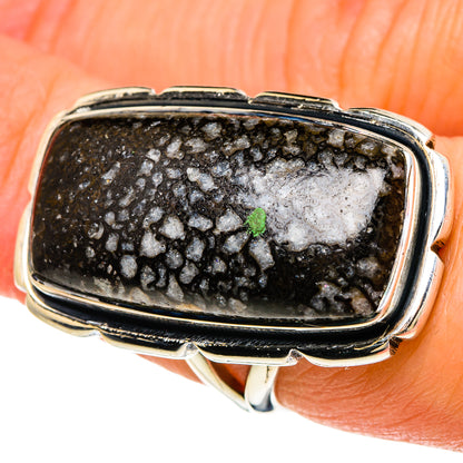 Dinosaur Bone Rings handcrafted by Ana Silver Co - RING94205