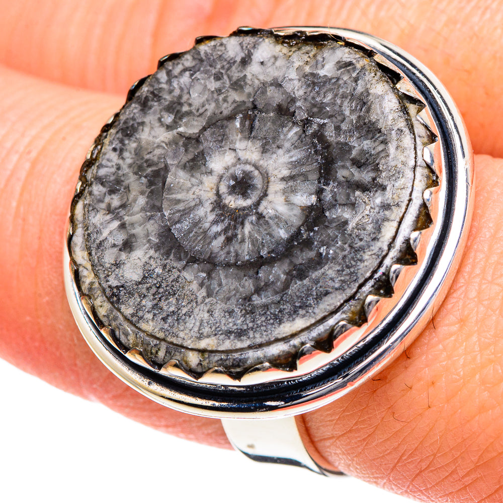 Goniatite Fossil Rings handcrafted by Ana Silver Co - RING95061