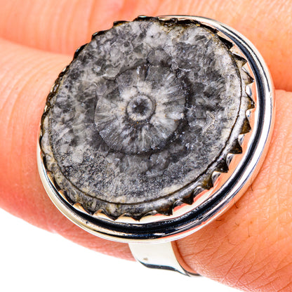 Goniatite Fossil Rings handcrafted by Ana Silver Co - RING95061
