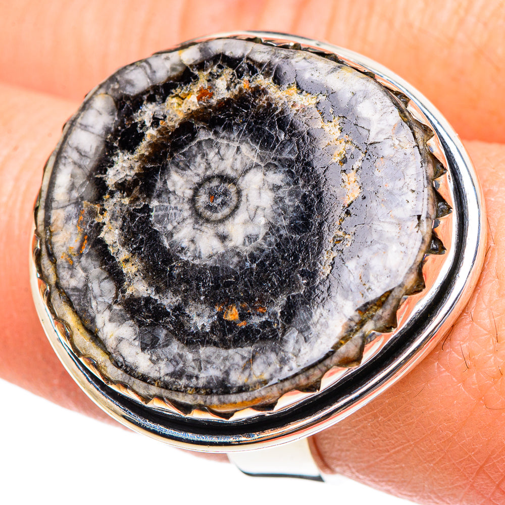 Goniatite Fossil Rings handcrafted by Ana Silver Co - RING95333