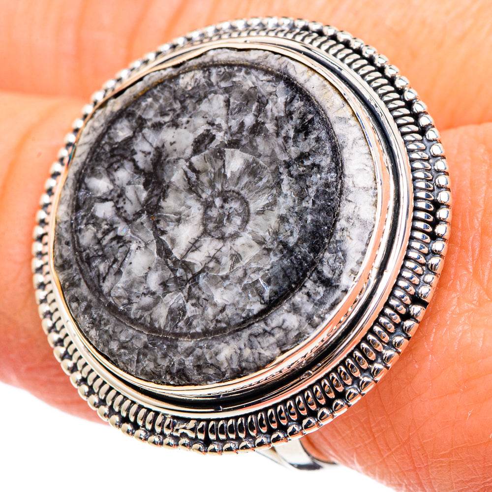 Goniatite Fossil Rings handcrafted by Ana Silver Co - RING95388