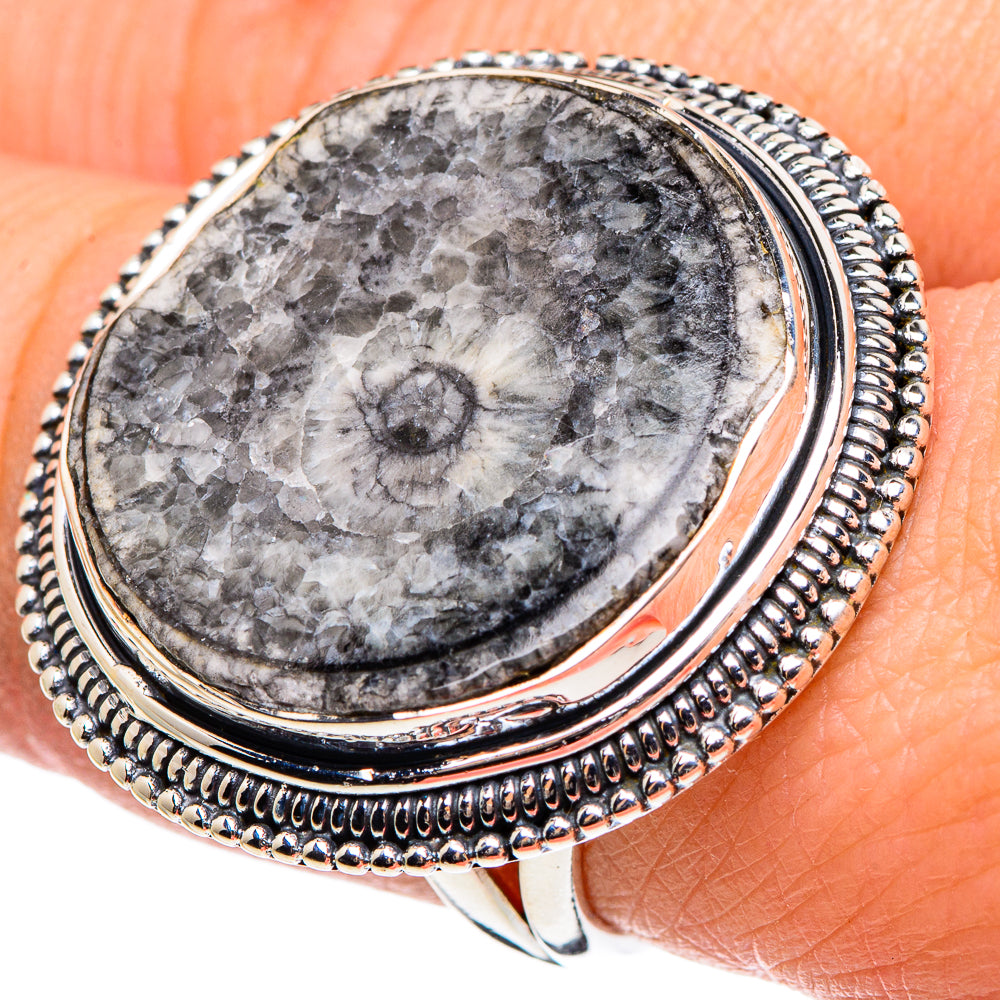 Goniatite Fossil Rings handcrafted by Ana Silver Co - RING95683