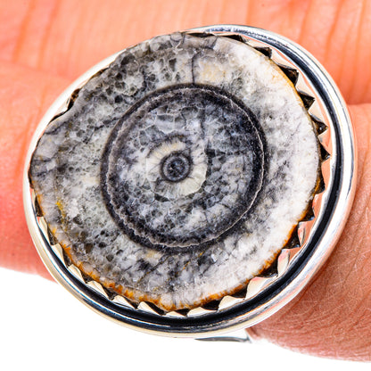 Goniatite Fossil Rings handcrafted by Ana Silver Co - RING95725