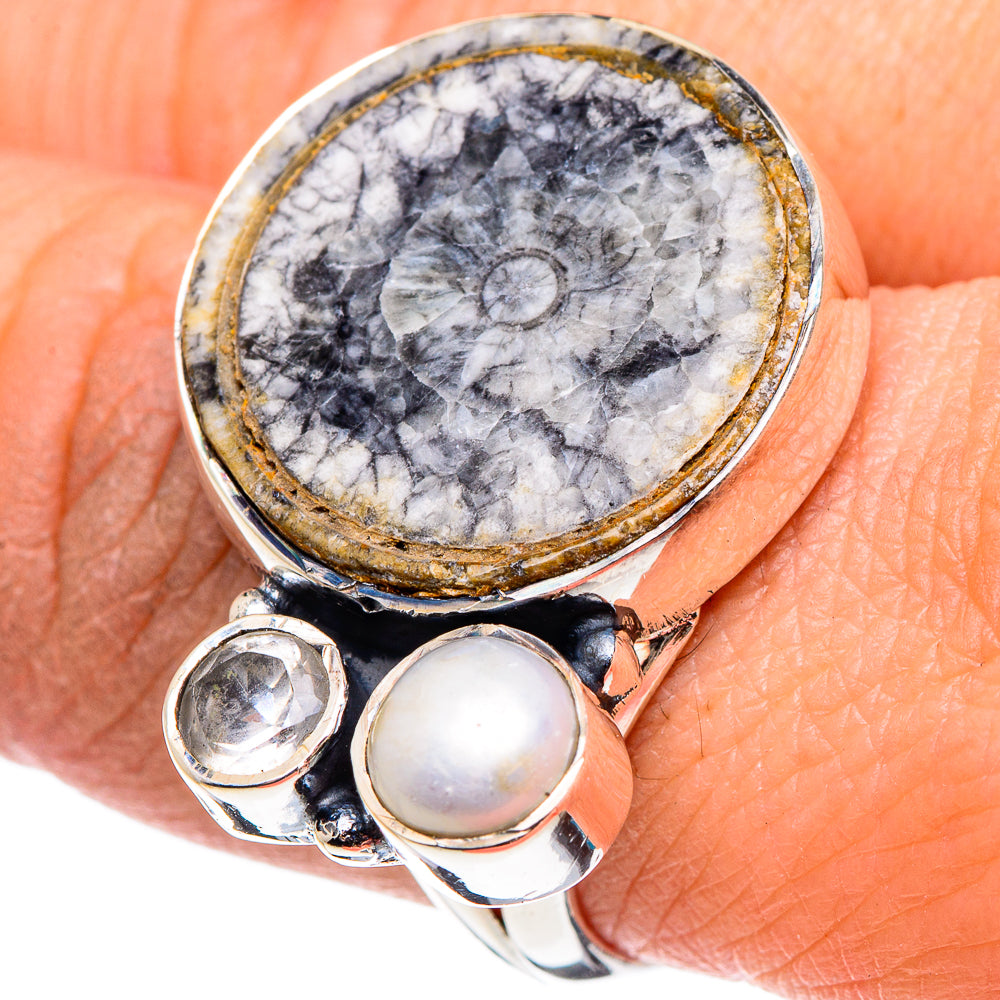 Goniatite Fossil Rings handcrafted by Ana Silver Co - RING95726